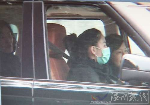 港媒：張柏芝開車撞傷老人 停車慰問稱付醫藥費