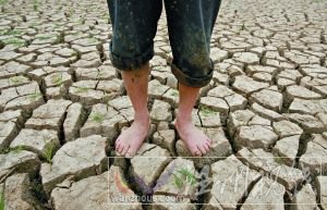 5月21日，一名農民站在開裂的魚塘地面上。連日的干旱使得武漢江夏區山坡鄉養魚人的池塘干涸。張朋