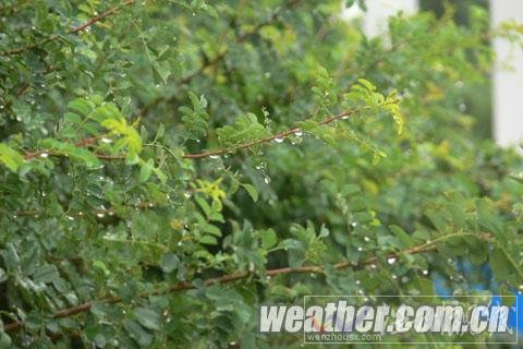 寧夏降喜雨解高溫 今明雨水持續(xù)需防范地質(zhì)災(zāi)害