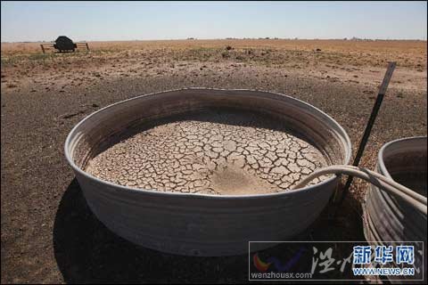 美國南方草原遭遇百年來最嚴重旱情