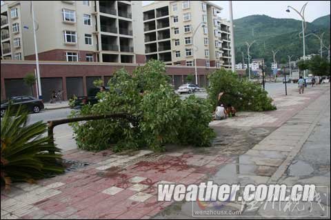 貴州銅仁2日下午遭雷雨大風 致2人死亡