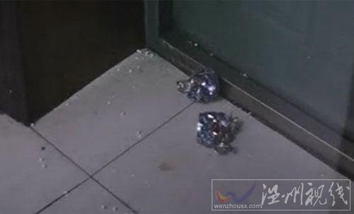 李天一的沖鋒槍