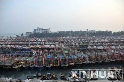 廣西數(shù)千艘漁船進港躲避強臺風“納沙”