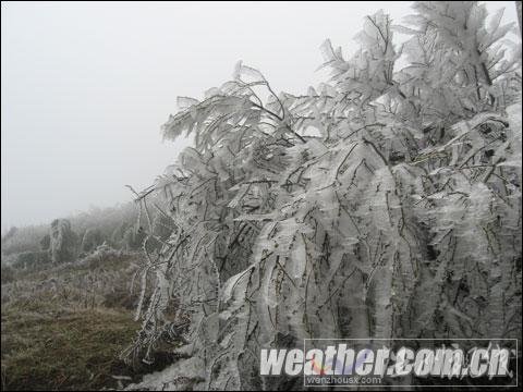 貴州威寧今冬出現12個凍雨日 超常年同期值