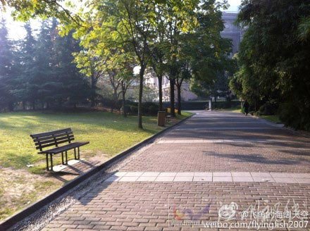 上海本周氣溫上下震蕩 前期回暖周四再迎冷空氣