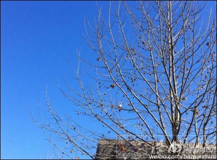 北京天空湛藍(lán)22日空氣質(zhì)量達(dá)優(yōu) 未來幾天晴天為主