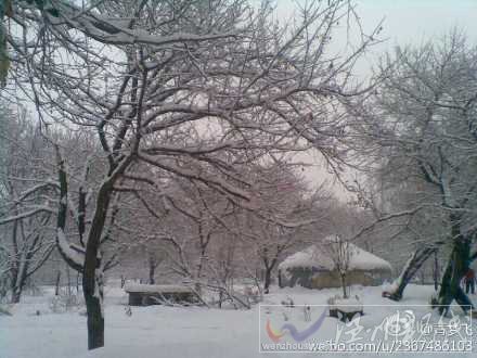 新疆低溫降雪大風(fēng)持續(xù) 春運(yùn)返鄉(xiāng)要看“天”出行