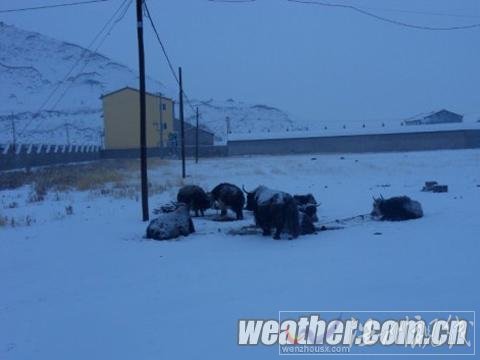 青海達日降雪或影響交通 有利降低火險