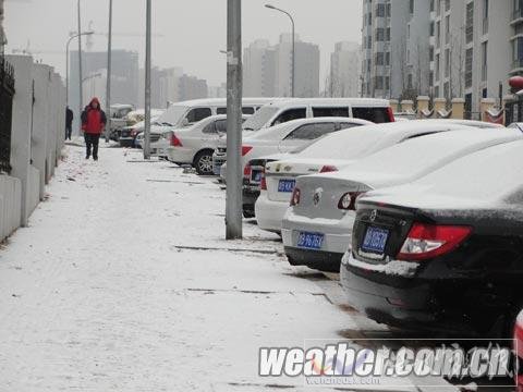 青島喜迎龍年新春后首場降雪