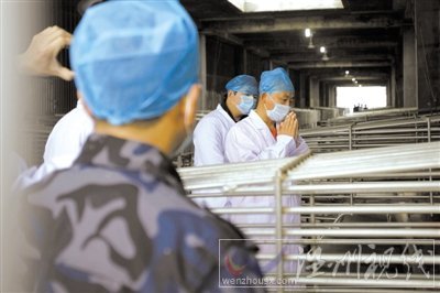 歸真堂再開(kāi)放參觀者跪拜謝罪 微博遭數(shù)萬(wàn)人咒罵