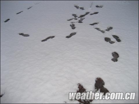 氣象開放日到來之際 春雨春雪齊聚京城 