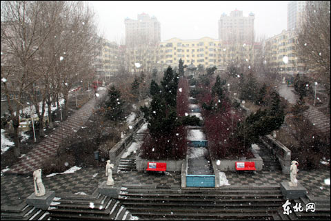 入春哈爾濱好大雪（組圖）