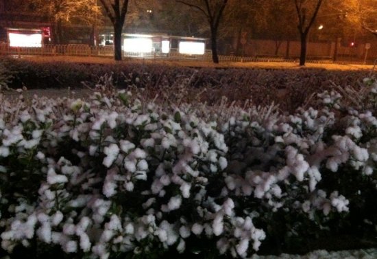 北京三月飛雪