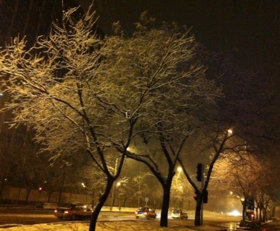 北京三月飛雪