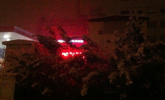 北京三月飛雪