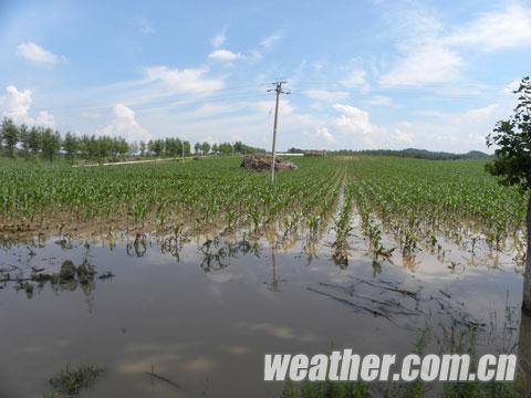 長春20日出現局地暴雨和冰雹等強對流天氣