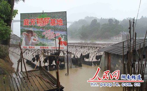 26日強降雨襲擊湘西北 湖南已啟動防汛四級響應