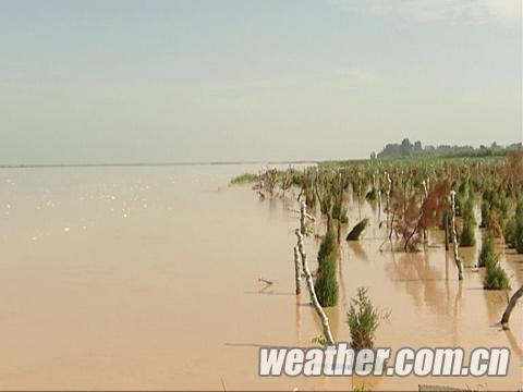寧夏將出現明顯降水 黃河防汛形勢更加嚴峻