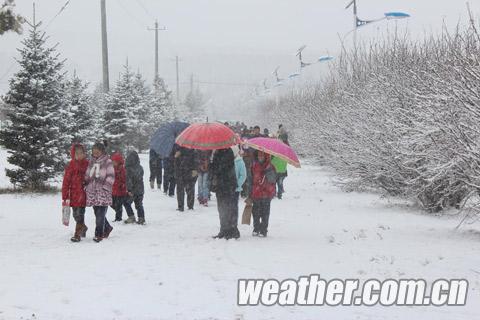 內(nèi)蒙古大雪 內(nèi)蒙古阿爾山地區(qū)昨日迎來入秋以來最大降雪