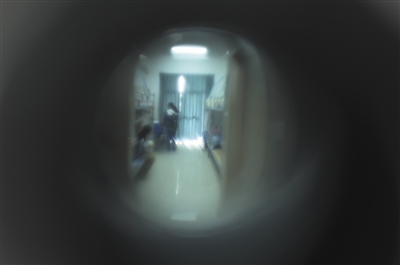 貓眼看人在龍灣實驗中學