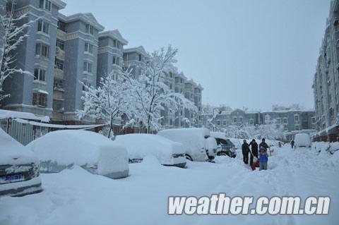 延慶暴雪