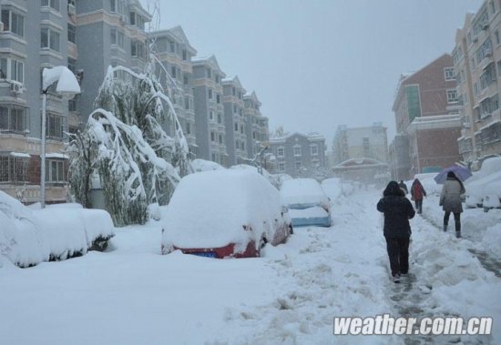 北京大雪 11月4日北京多地下大雪延慶佛爺頂降雪量最大51毫米
