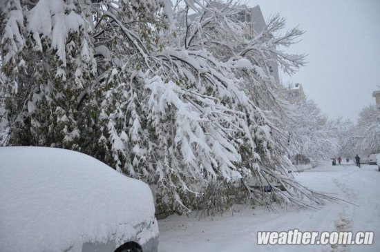 北京大雪 11月4日北京多地下大雪延慶佛爺頂降雪量最大51毫米