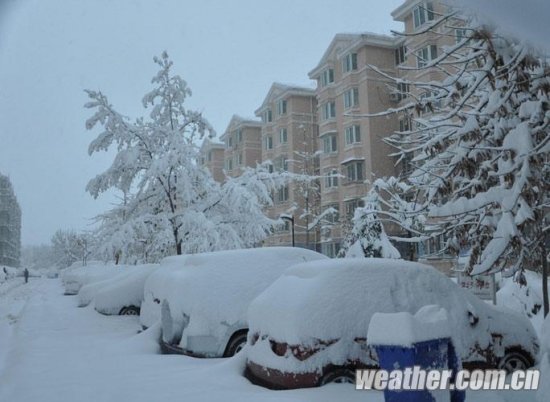 北京大雪 11月4日北京多地下大雪延慶佛爺頂降雪量最大51毫米
