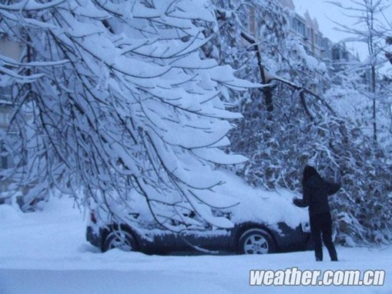 北京大雪 11月4日北京多地下大雪延慶佛爺頂降雪量最大51毫米