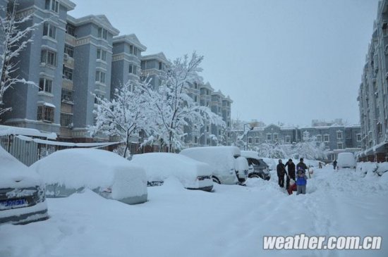 北京大雪 11月4日北京多地下大雪延慶佛爺頂降雪量最大51毫米