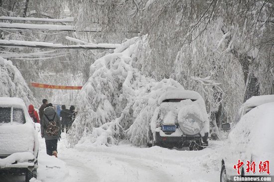 黑龍江鶴崗暴雪
