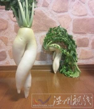 日本逃跑蘿卜