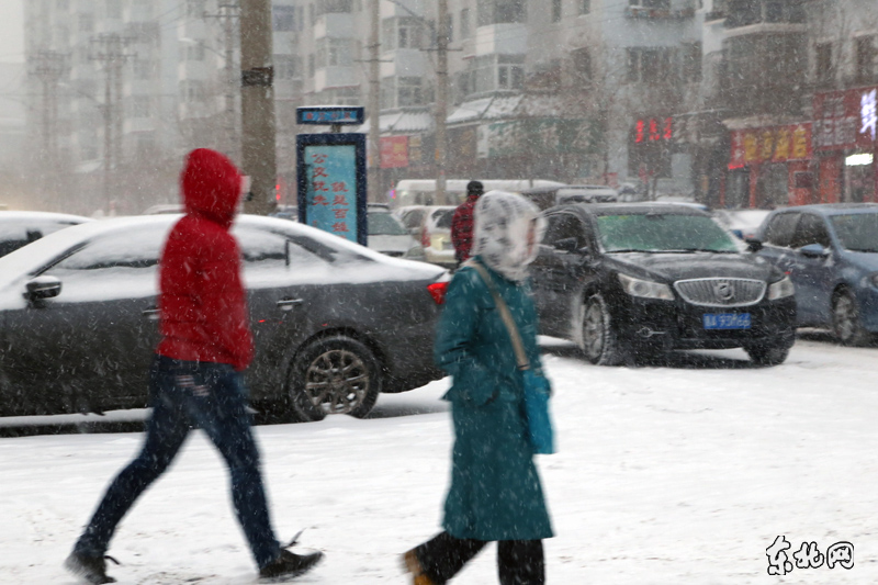 哈爾濱2月28日大雪