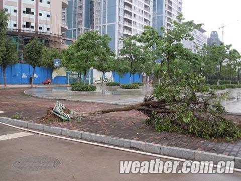 3日冰雹雷雨大風(fēng)席卷玉林市 車棚被大風(fēng)掀翻天空烏云蔽日