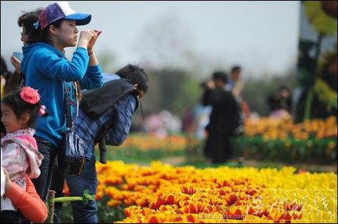 合肥13日氣溫近30℃ 周末是賞花的好天氣