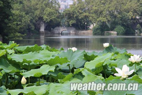 安徽2日氣溫將破38℃ 未來三天北部多短時雷陣雨