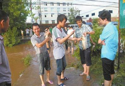 四川達(dá)州暴雨致萬(wàn)斤魚兒游上公路 市民停車撿魚