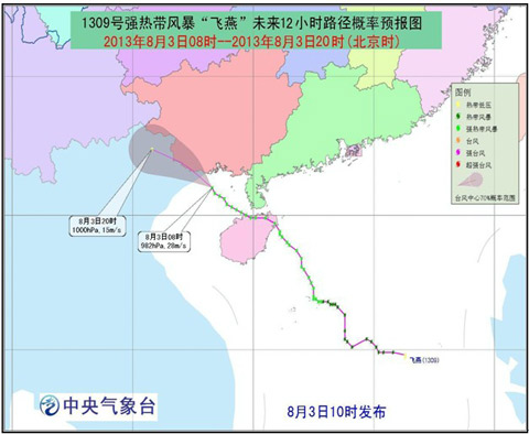 臺風(fēng)飛燕登陸