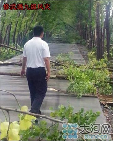 河南遇暴雨冰雹38萬人受災1人死亡 冰雹個頭最大如雞蛋