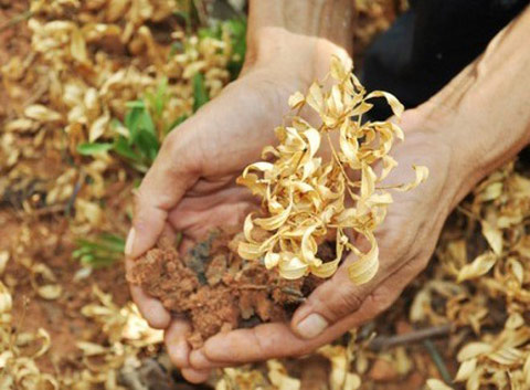 湖南立秋高溫再次升級(jí) 今天下午局地有40℃以上高溫