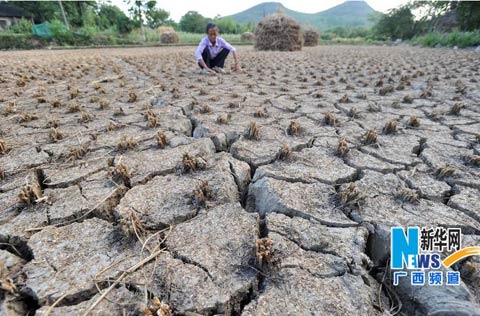 廣西今年汛期降水偏少 35個地區出現干旱