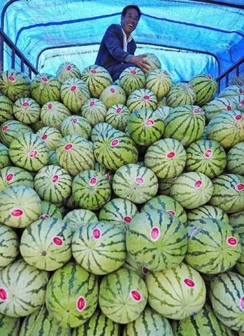 寧夏持續高溫 
