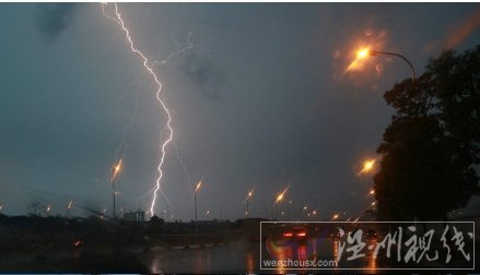 福州閃電圖片 26日傍晚閃電不斷榕城兩小時打302次雷