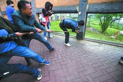 長(zhǎng)沙生態(tài)動(dòng)物園進(jìn)行了“人虎拔河”的比賽