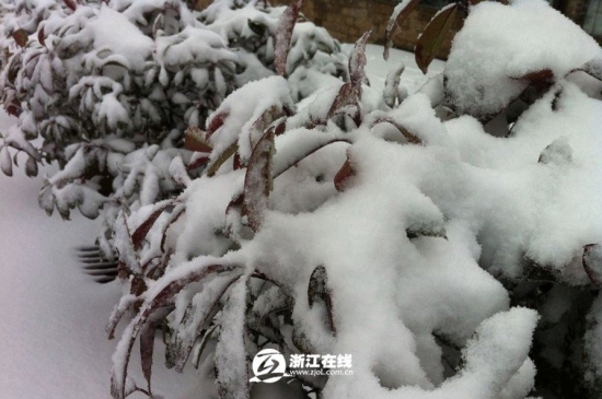 浙江下雪了，2013年冬季浙江湖州安吉第一場雪