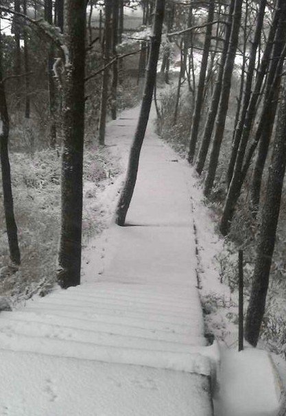浙江下雪了，2013年冬季浙江湖州安吉第一場雪