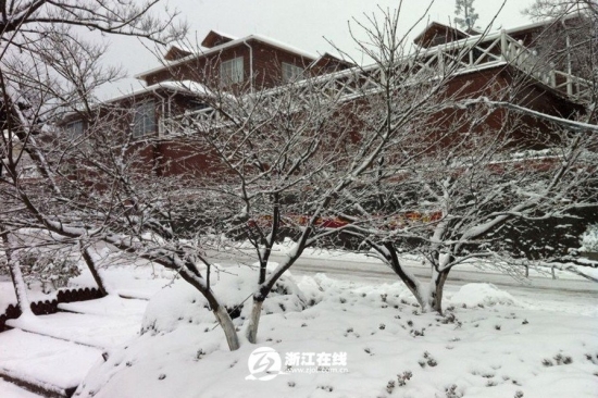 浙江下雪了，2013年冬季浙江湖州安吉第一場雪