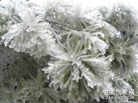 貴州凍雨