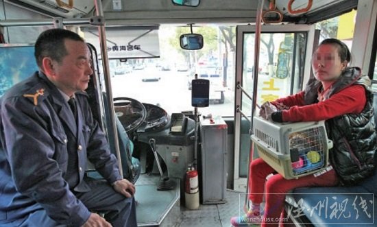 女乘客帶狗上車 溫州42路公交司機(jī)熄火不開(kāi)