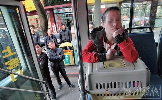 女乘客帶狗上車 溫州42路公交司機(jī)熄火不開(kāi)